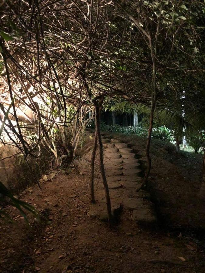 Plasencia Estate Omoa Luaran gambar